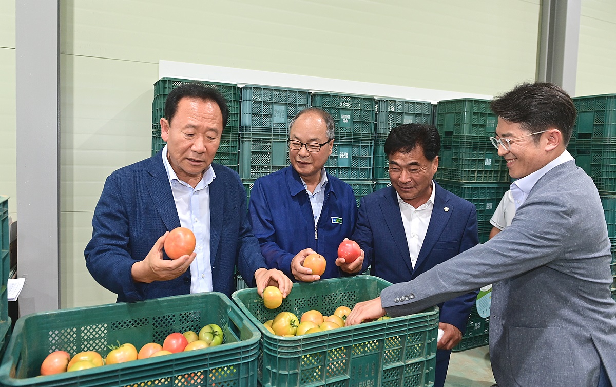 봉화군 춘양농협은 법전면 척곡리에 토마토 선별장 신축하고 준공식을 개최했다.박현국 봉화군수(완쪽)가 산별장에사 토마토를 들어보이고 있다(봉화군 제공)