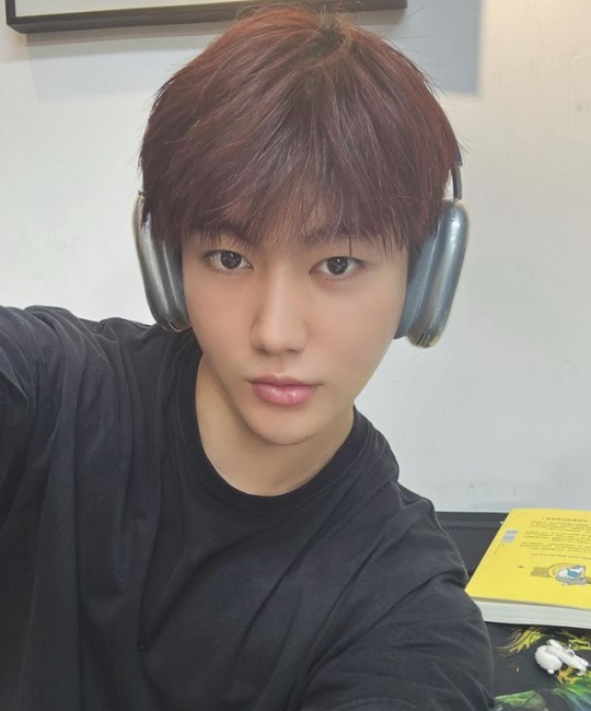 진화 채널
