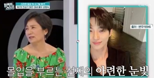 TV조선 '퍼펙트 라이프' 방송화면 캡처