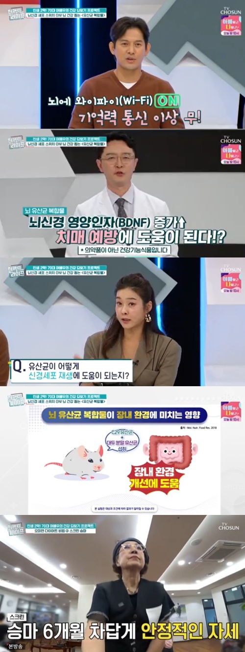 TV조선 '퍼펙트 라이프' 방송화면 캡처