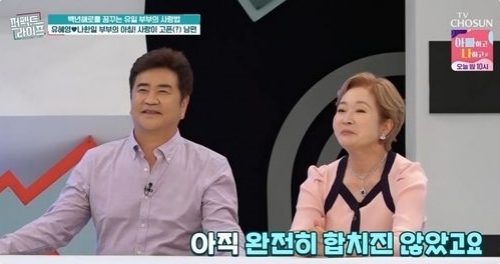 TV조선 '퍼펙트 라이프' 방송화면 캡처