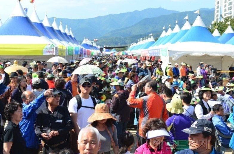 전국에서 풍기 인삼축제를 찾은 관광객들(헤럴드 DB)