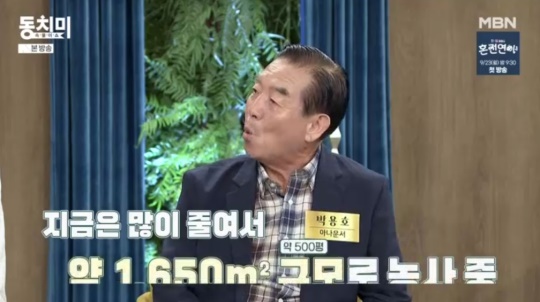 MBN '속풀이쇼 동치미' 캡처