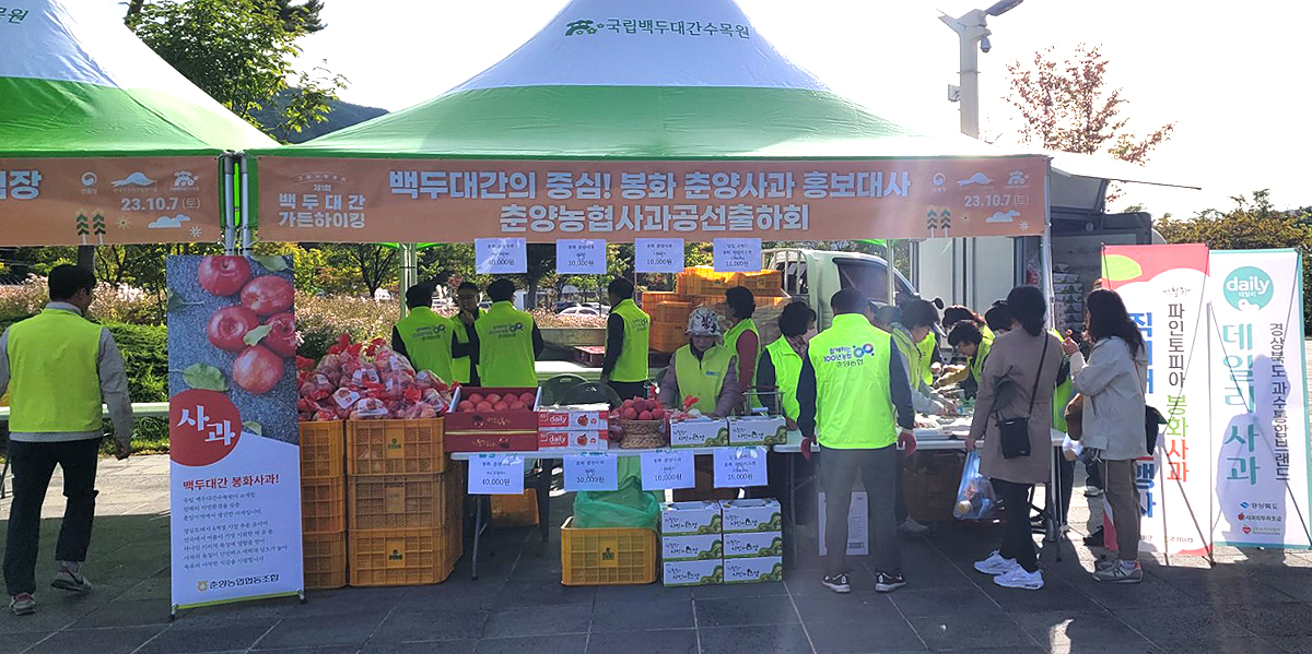 지난해 국립백두대간수목원에서 열린 봉화사과 홍보 판매 모습 (봉화군 제공)