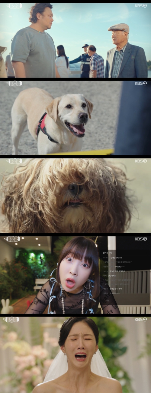 KBS2 '개소리' 방송화면 캡처
