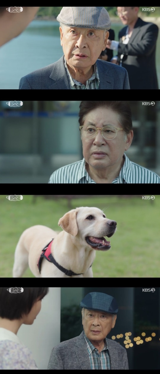 KBS2TV '개소리' 캡처