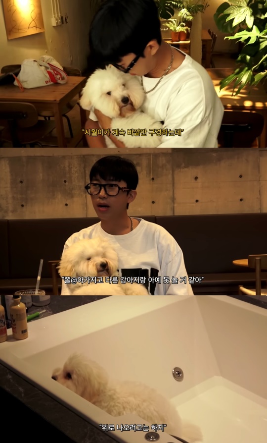 임영웅 유튜브 캡처