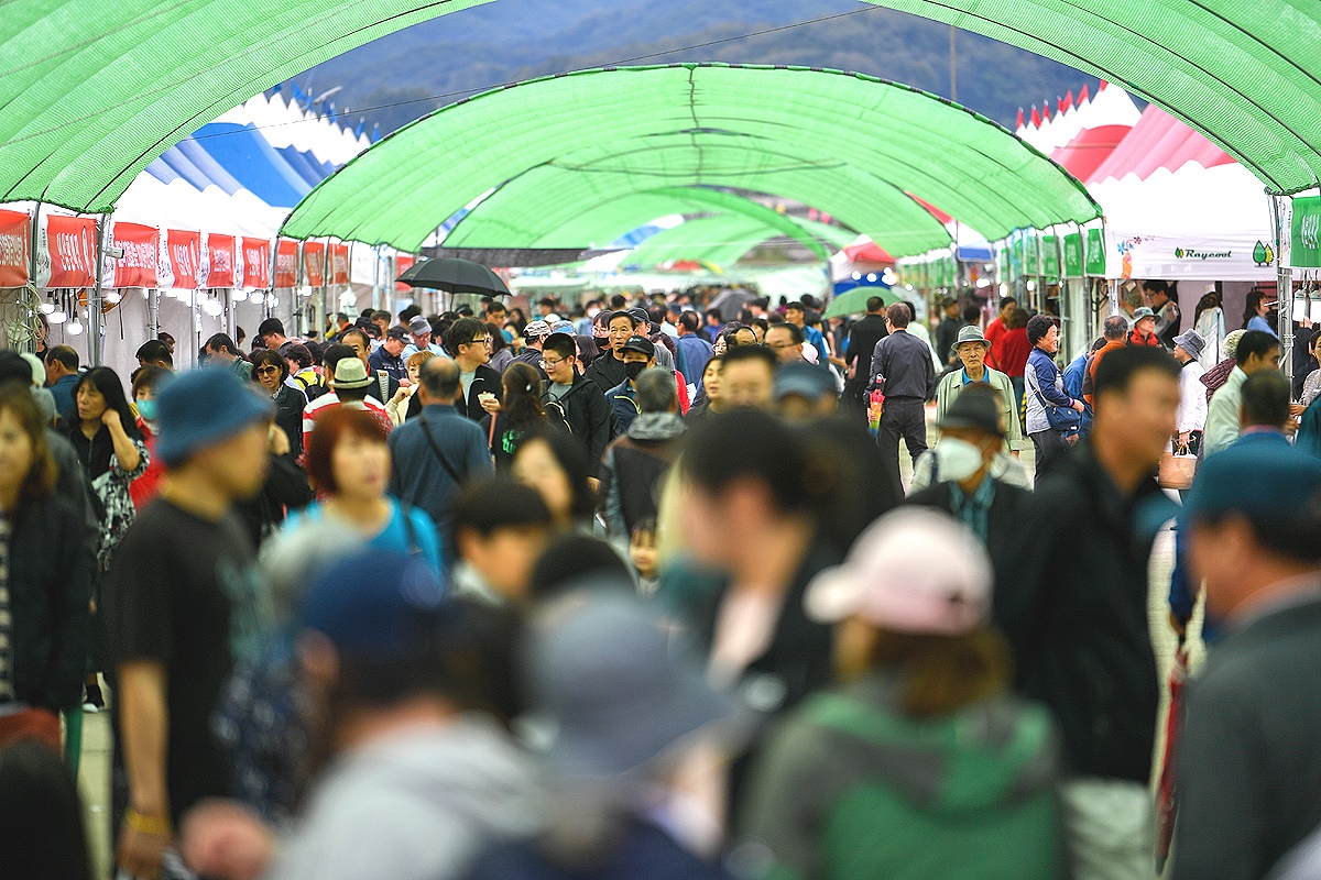 축제 현장에는 전국 각지에서 몰려든 관광객으로발디딜 틈없이 차고 넘쳤다.