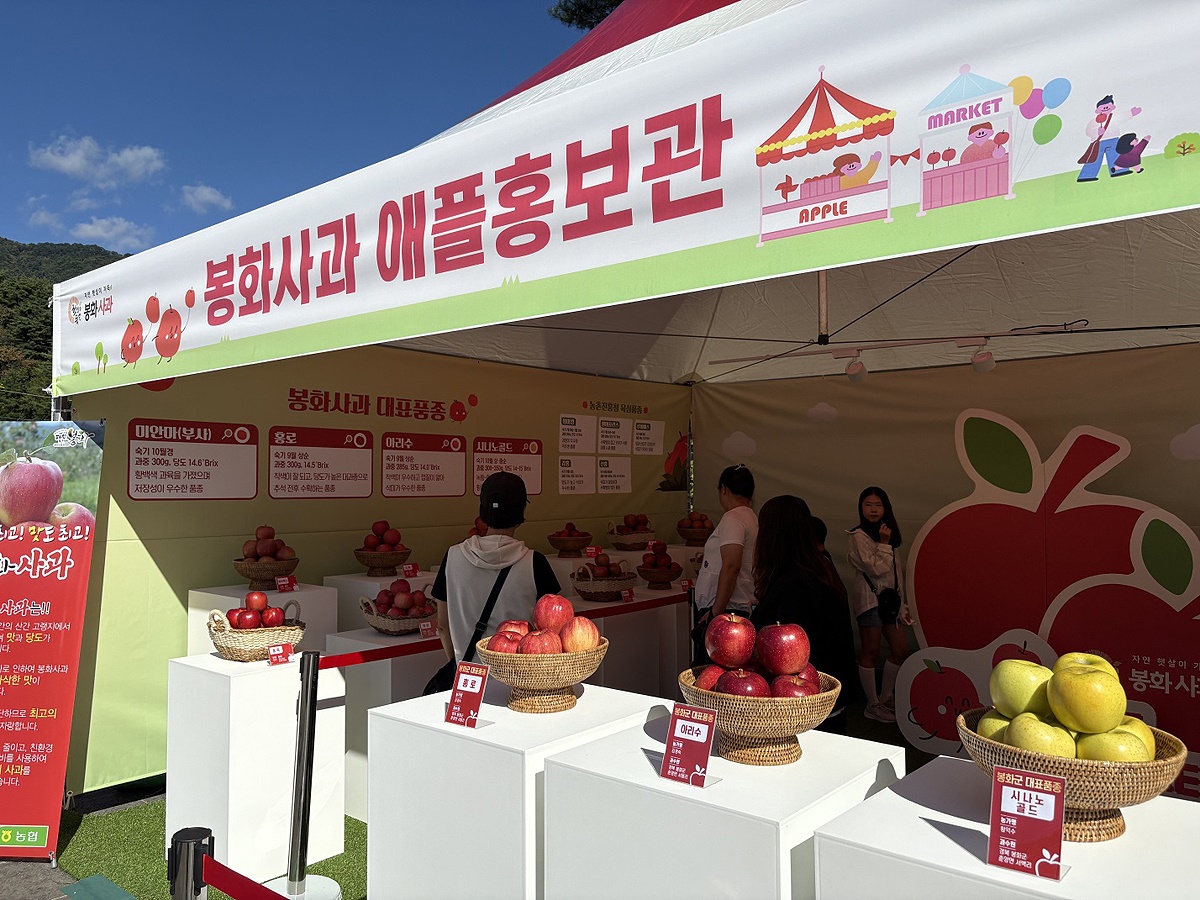 지난 4일부터 6일까지 국립 백두대간수목원에서 열린 ‘봉화사과 홍보판매행사’가 성황리에 마무리됐다, 사진은 봉화사과 애플홍보관 모습(봉화군 제공)
