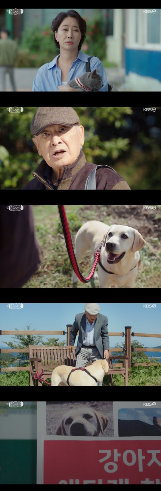 KBS2TV '개소리' 캡처