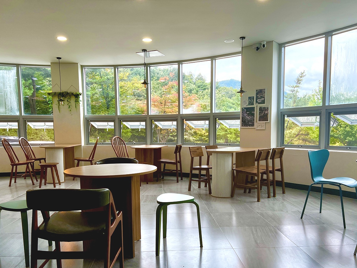 국립산림치유원 옥녀봉 힐링센터(영주시 봉현면 두산리 1373)에 위치한 ‘카페 인더숲’ 내부 모습.(치유원 제공)