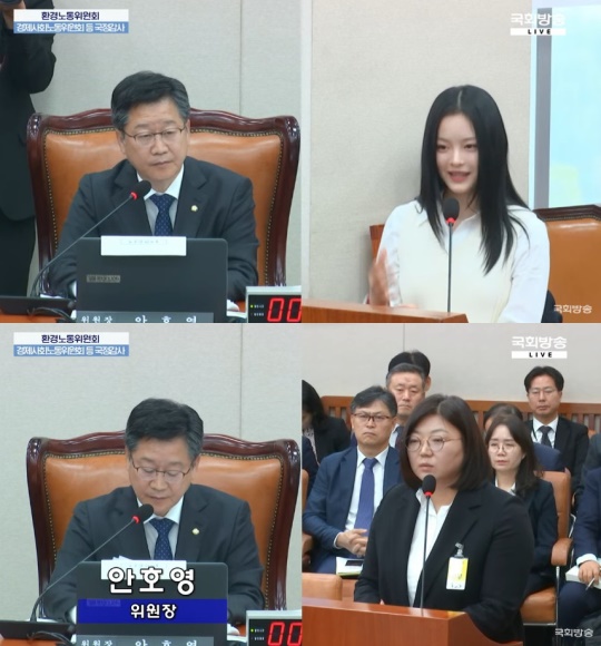 국정감사 라이브 방송 캡처