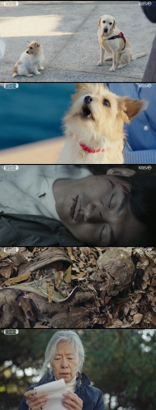 KBS2 '개소리' 방송화면 캡처