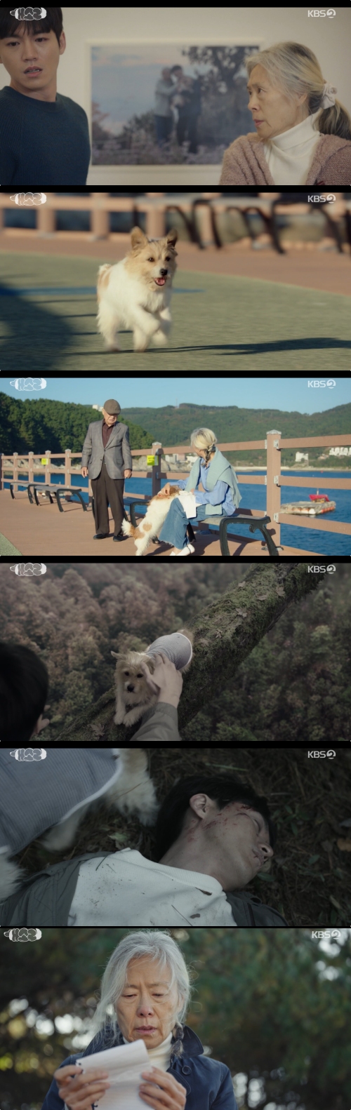 KBS2 '개소리' 방송화면 캡처
