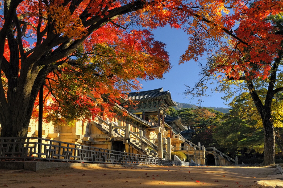 [경주 불국사]