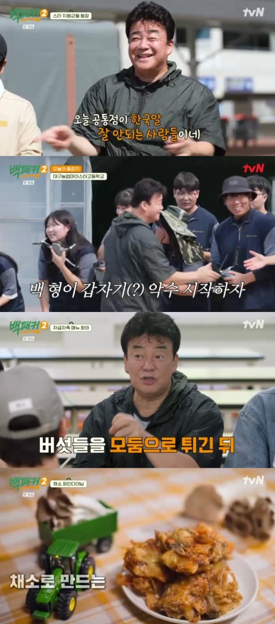 tvN '백패커2' 캡처