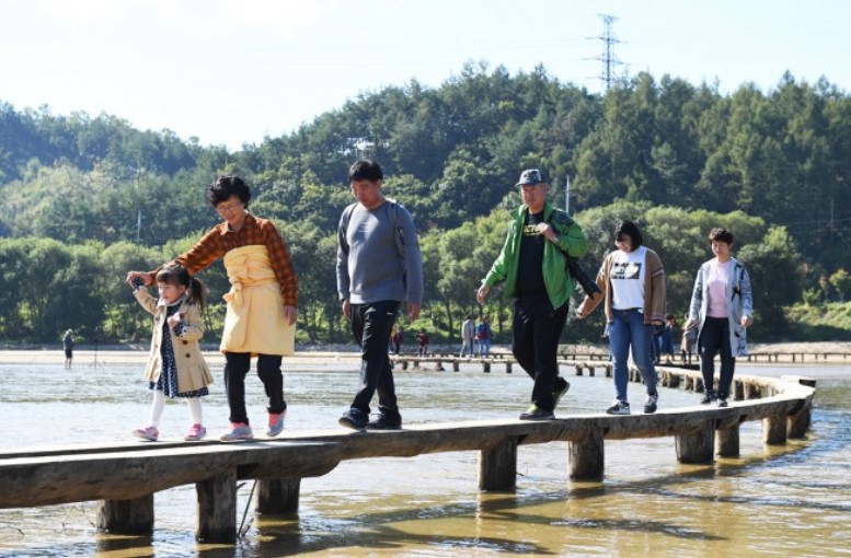 영주관광명소인 무섬 마을을 찾은 가족관광객이 외나무다리를 건너보고 있다(영주시 제공)