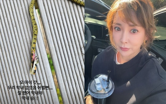 이상아 채널