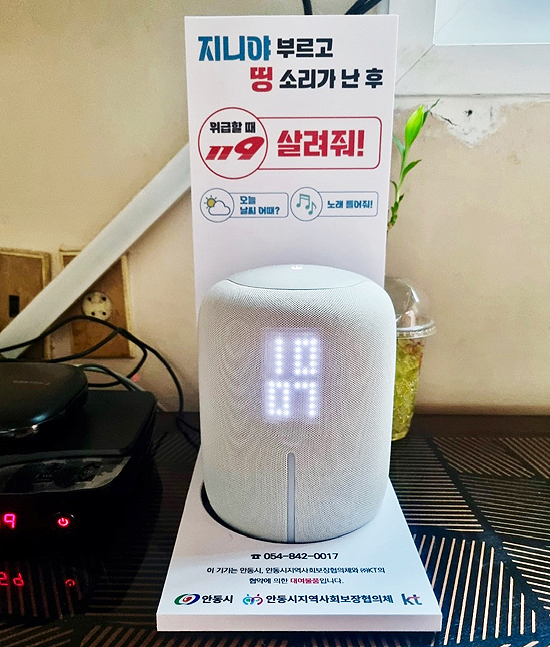 안동시가 1인 가구의 고독사를 예방 및 돌봄 사업을 통해, 취약계층 100가구에 AI 스피커를 설치했다.(안동시 제공)