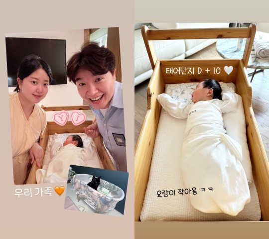 전복이 채널 스토리
