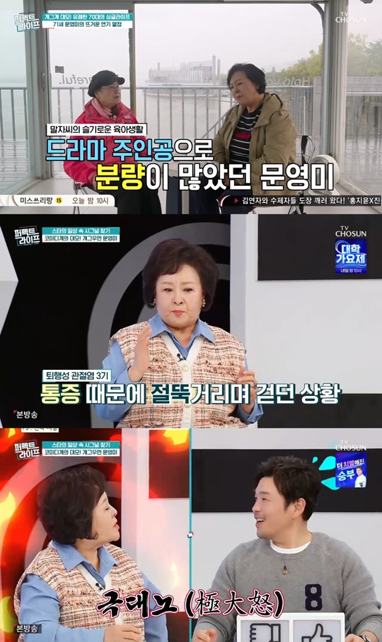 TV조선 '퍼펙트라이프' 캡처