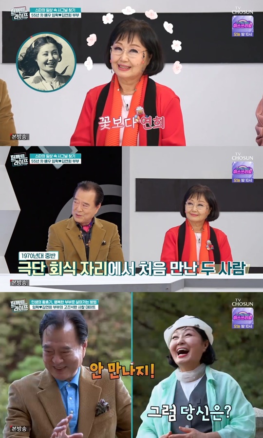 TV조선 '퍼펙트 라이프' 캡처