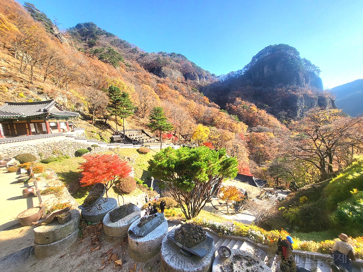 봉화량사