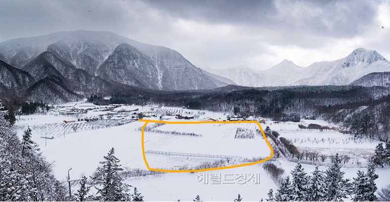 파크골프장 조성예정부지인 울릉나리분지 설경(헤럴드 DB)
