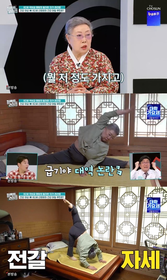 TV조선 '퍼펙트라이프' 캡처