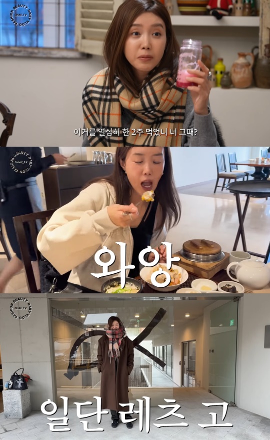 채정안 유튜브 캡처