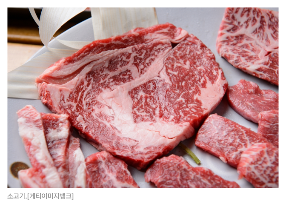 스크린샷 2026-05-15 135340.png
