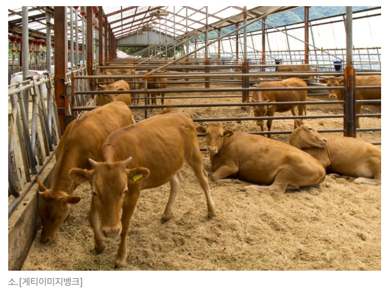 스크린샷 2026-05-15 135412.png