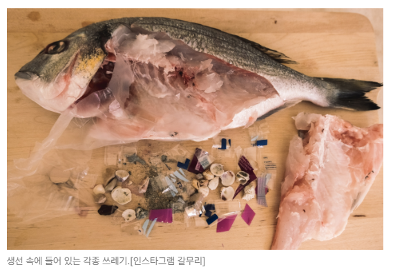 스크린샷 2026-05-15 141322.png