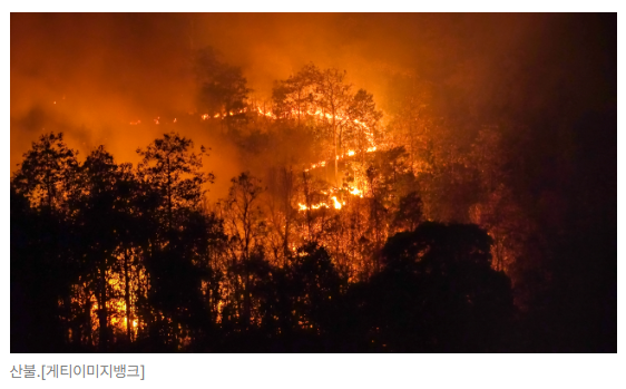 스크린샷 2026-05-15 142002.png