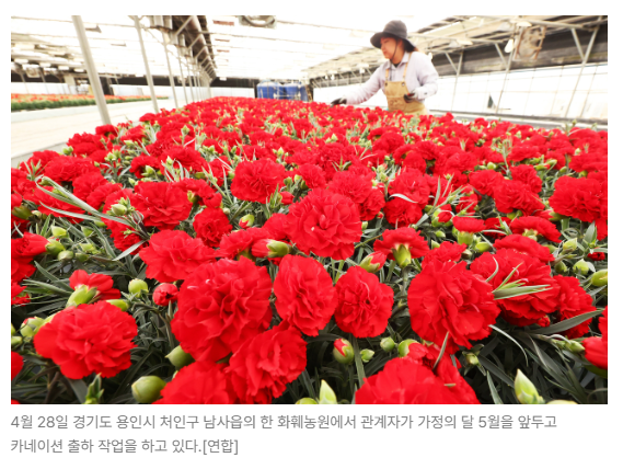 스크린샷 2026-05-15 145549.png