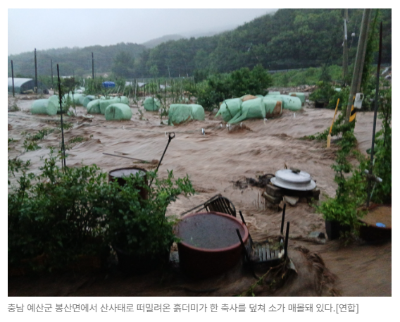 스크린샷 2026-05-15 152342.png