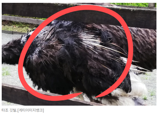 스크린샷 2026-05-15 153017.png