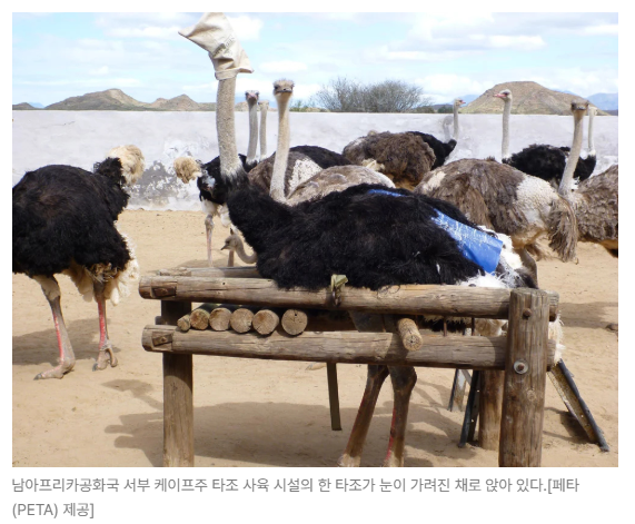 스크린샷 2026-05-15 153345.png