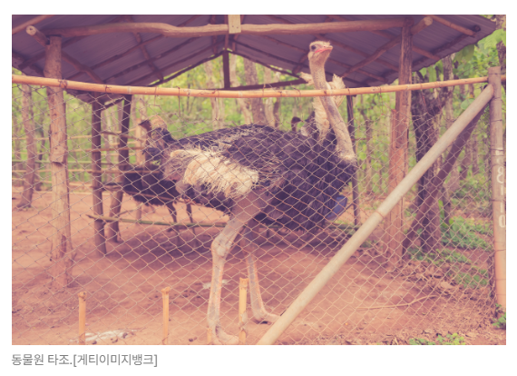 스크린샷 2026-05-15 153435.png