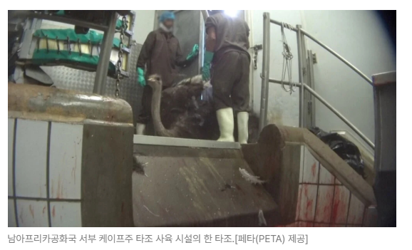 스크린샷 2026-05-15 153439.png