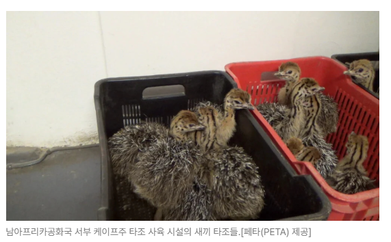 스크린샷 2026-05-15 153445.png