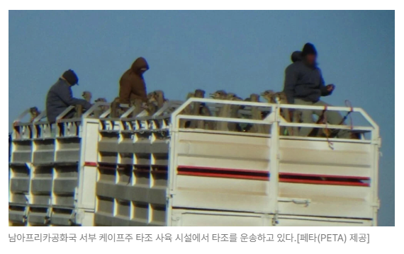 스크린샷 2026-05-15 153451.png