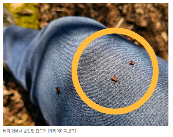 스크린샷 2026-05-15 164546.png