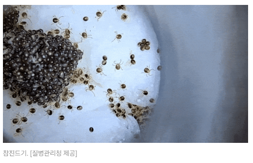 스크린샷 2026-05-15 164645.png