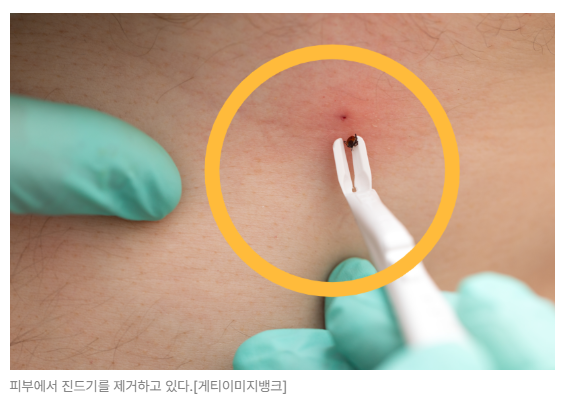 스크린샷 2026-05-15 164723.png
