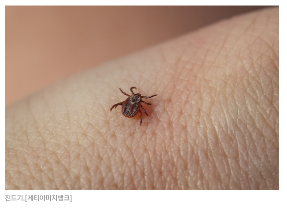 스크린샷 2026-05-15 164835.png