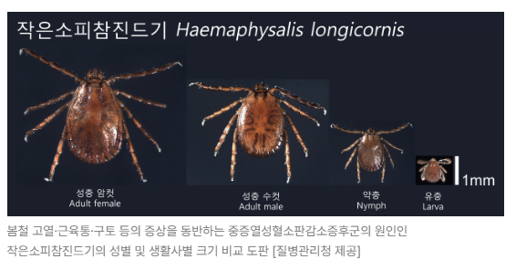 스크린샷 2026-05-15 164912.png