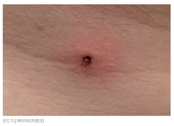 스크린샷 2026-05-15 164946.png