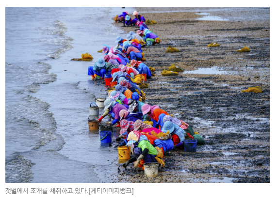 스크린샷 2026-05-18 090823.png