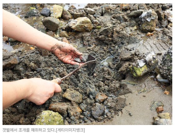 스크린샷 2026-05-18 090943.png
